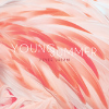 Young Summer - Fever Dream